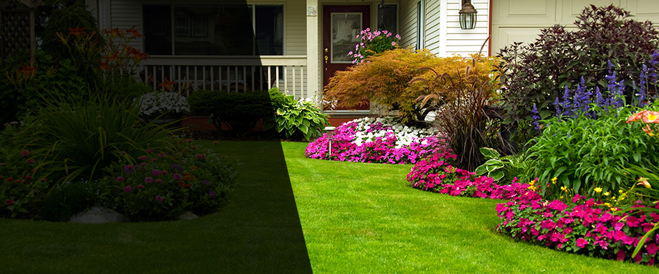 Biloxi Landscapers