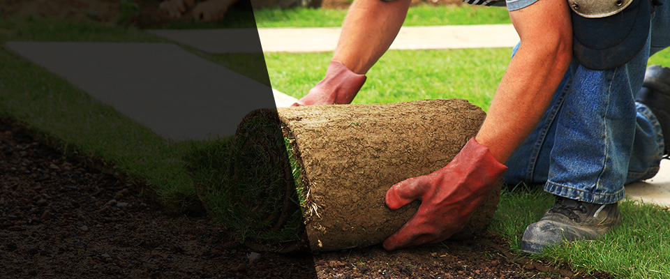 Biloxi Landscapers